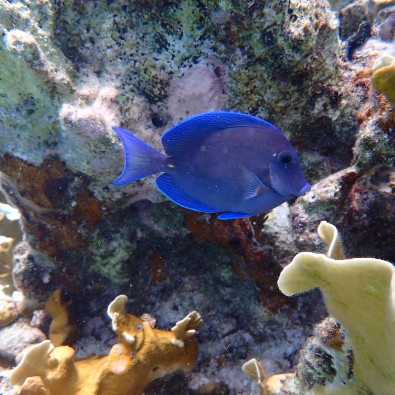 Img 20240430 wa0030.jpg