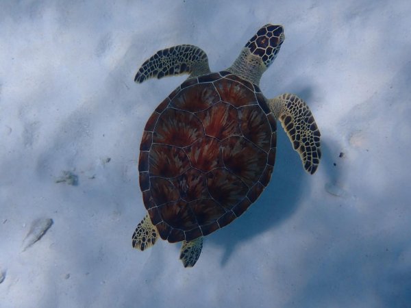Bonaire 2021 — Foto 21 von 29