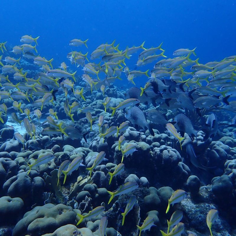 Img 20240430 wa0040.jpg