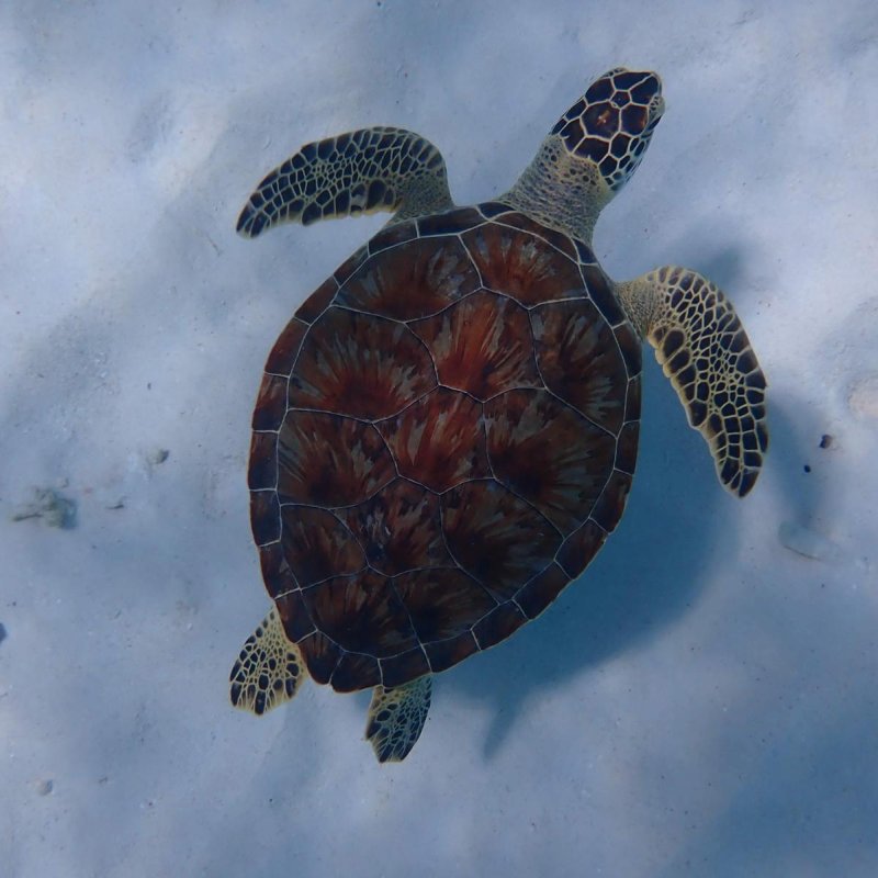 Img 20240430 wa0039.jpg