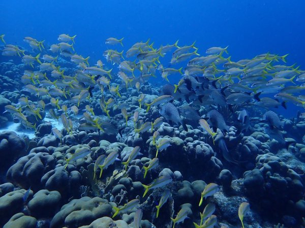Bonaire 2021 — Foto 22 von 29