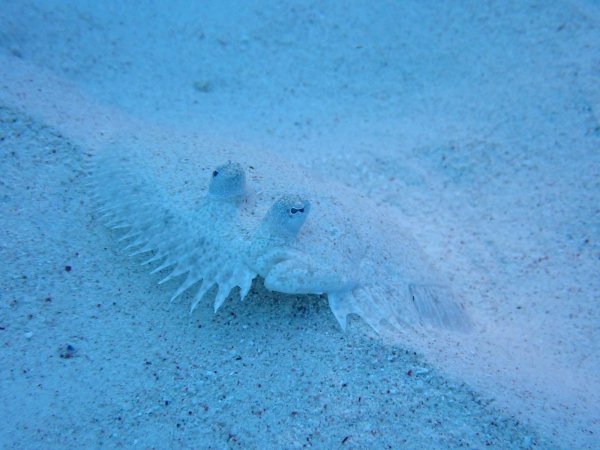 Bonaire 2021 — Foto 18 von 29