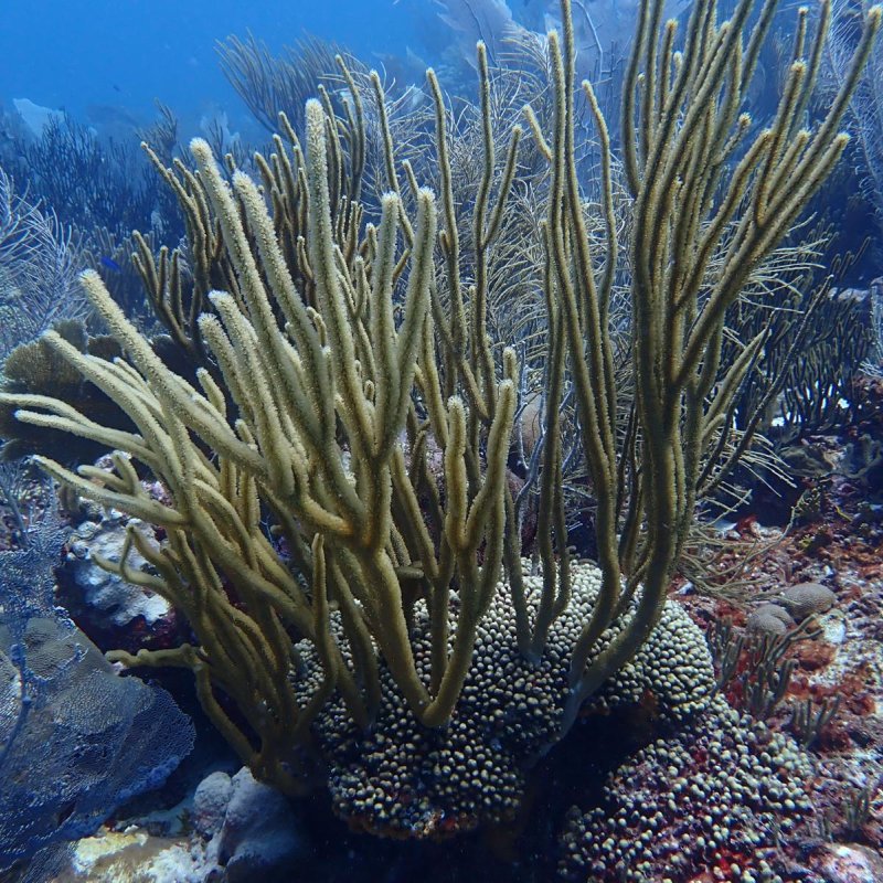 Img 20240430 wa0042.jpg