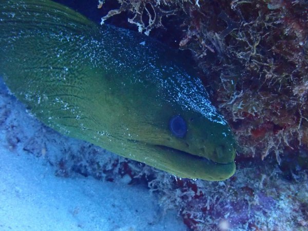 Bonaire 2021 — Foto 27 von 29