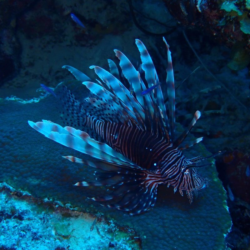 Img 20240430 wa0035.jpg