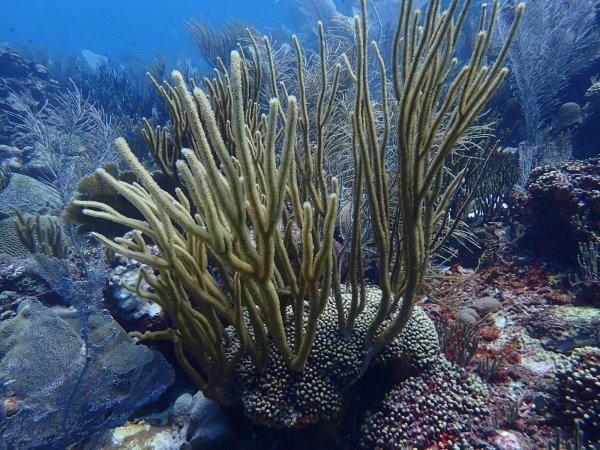Bonaire 2021 — Foto 24 von 29