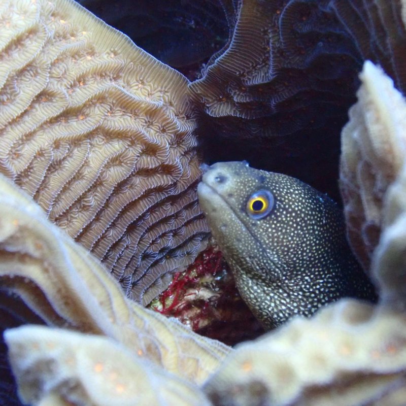 Img 20240430 wa0029.jpg