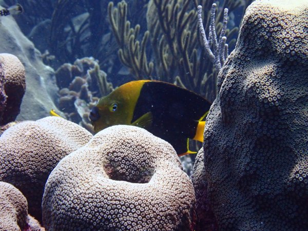 Bonaire 2021 — Foto 19 von 29