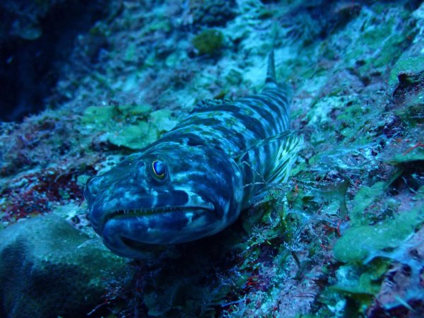 Bonaire 2021 — Foto 13 von 29