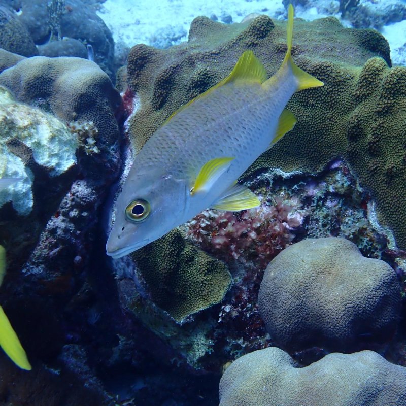 Img 20240430 wa0028.jpg