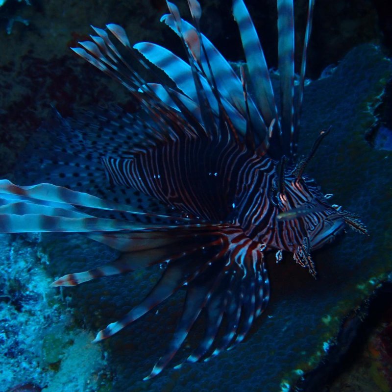 Whatsapp bild 2024 05 01 um 11.09.50 0ecb7822.jpg