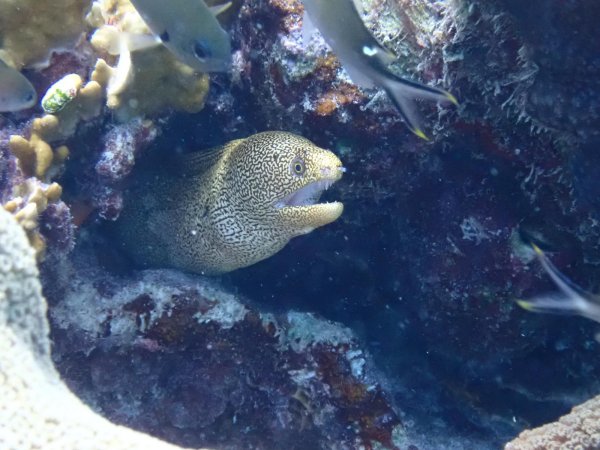 Bonaire 2021 — Foto 15 von 29