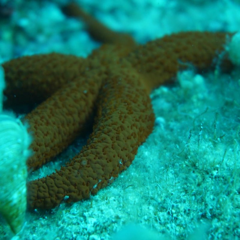 Img 20240430 wa0044.jpg