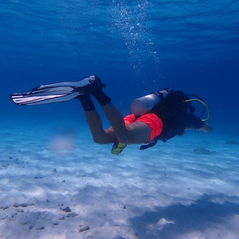 Img 20240430 wa0019.jpg