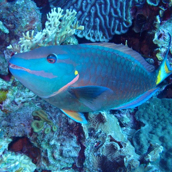 Img 20240430 wa0032