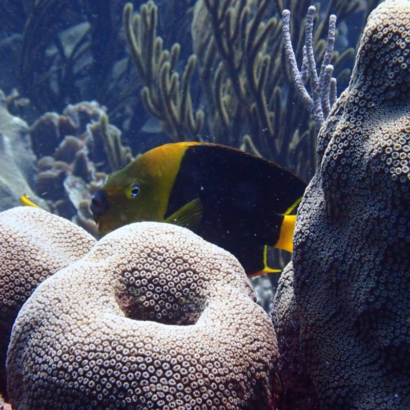 Img 20240430 wa0037.jpg