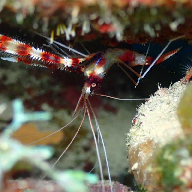 Img 20240430 wa0038.jpg