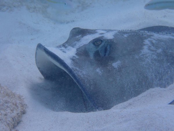 Bonaire 2021 — Foto 16 von 29