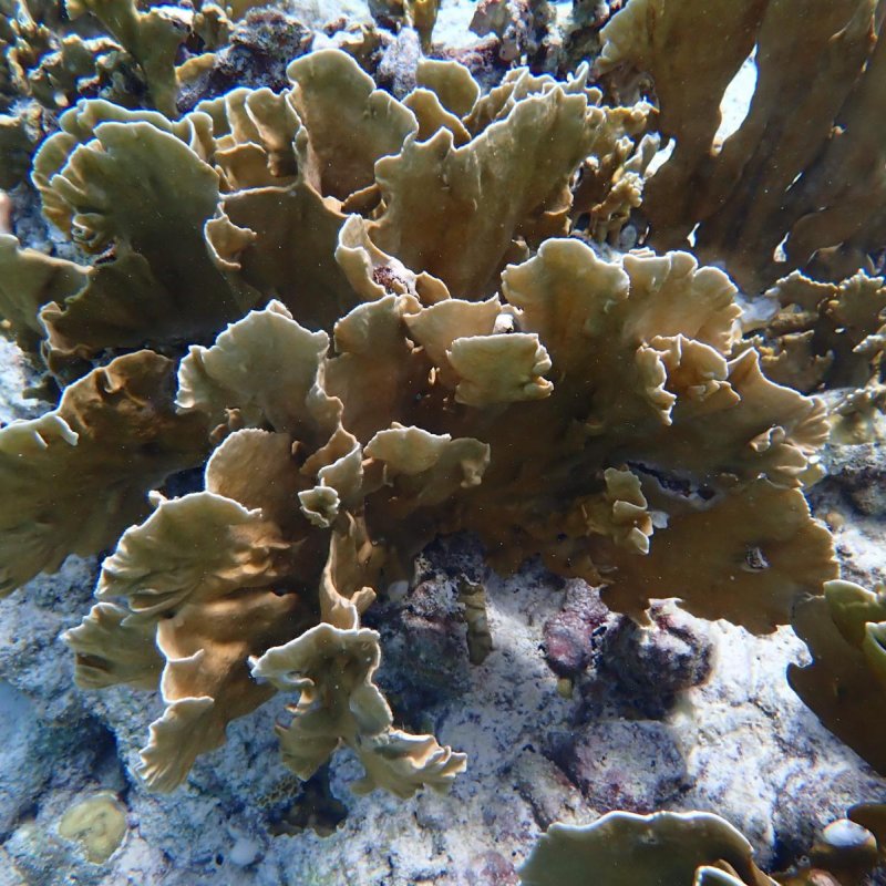 Img 20240430 wa0046.jpg