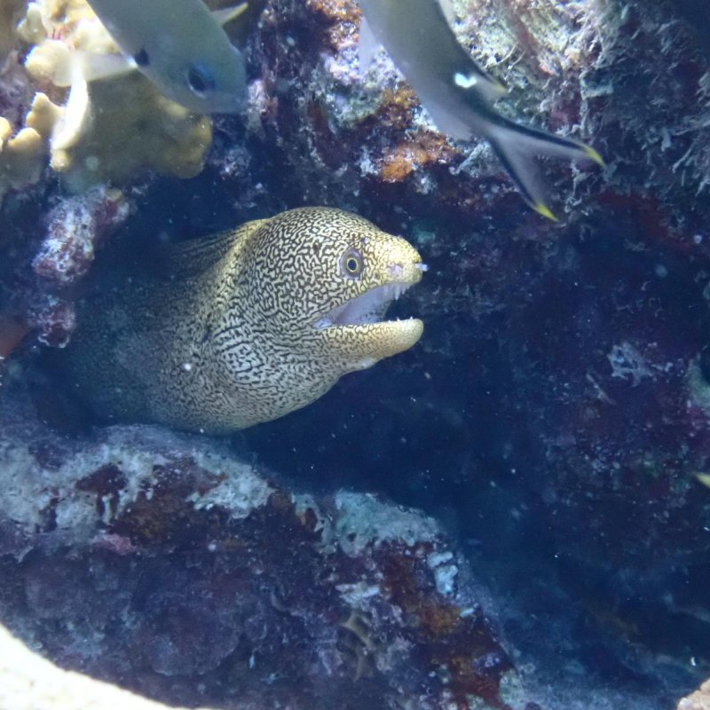 Img 20240430 wa0033.jpg