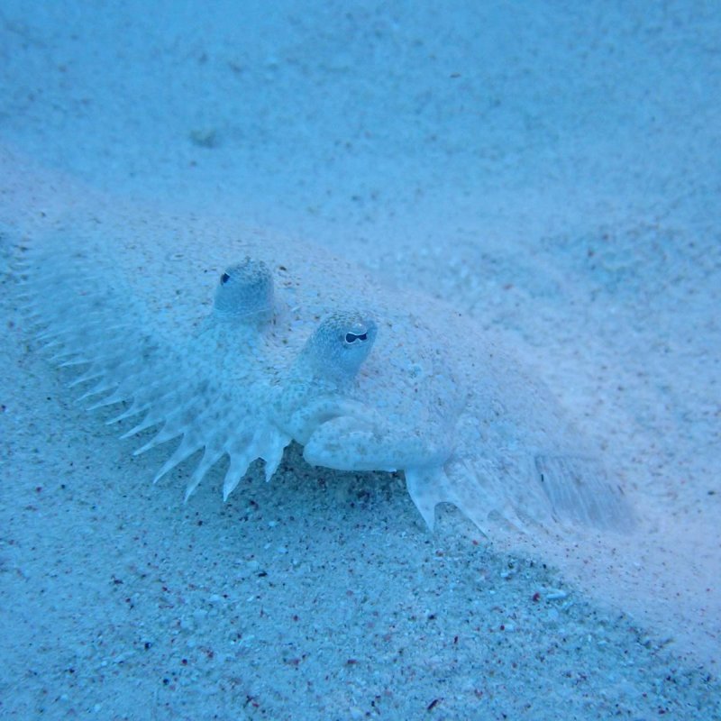 Img 20240430 wa0036.jpg