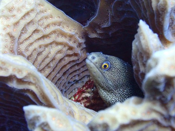 Bonaire 2021 — Foto 11 von 29