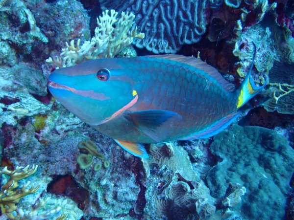 Bonaire 2021 — Foto 14 von 29