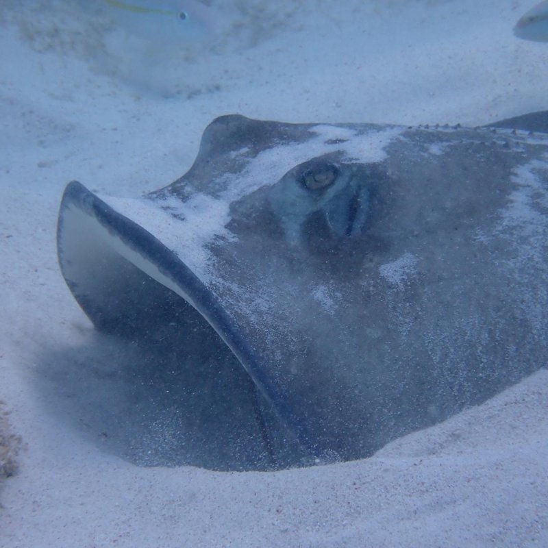 Img 20240430 wa0034.jpg