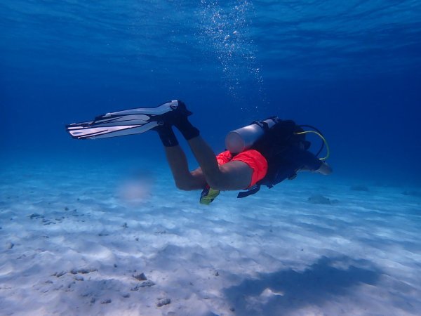 Bonaire 2021 — Foto 9 von 29