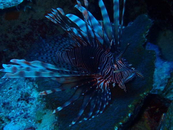 Bonaire 2021 — Foto 29 von 29