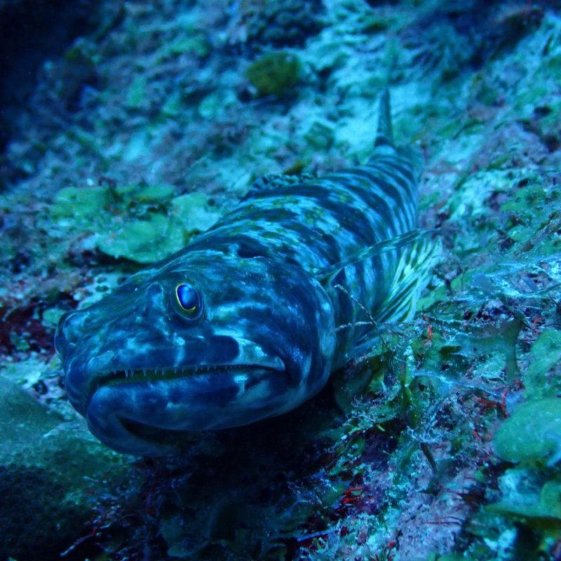 Img 20240430 wa0031.jpg