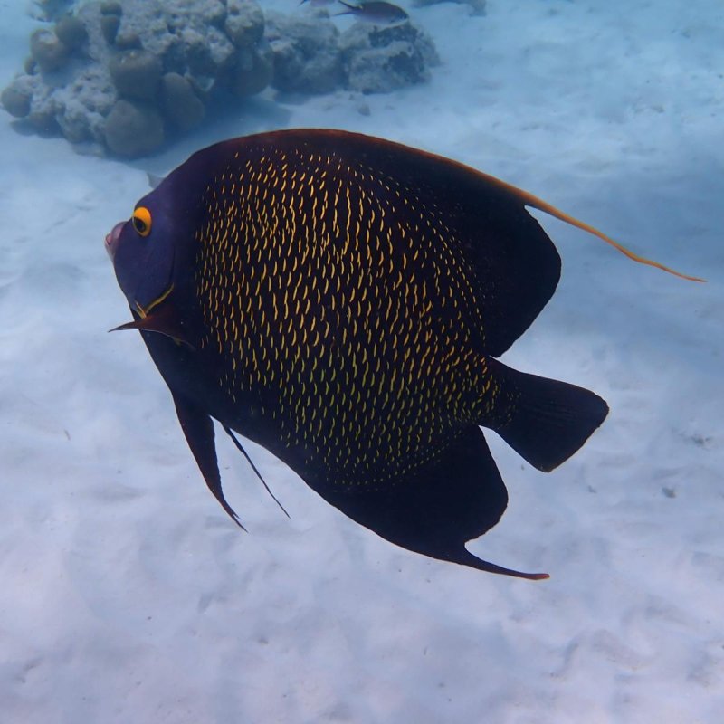 Img 20240430 wa0041.jpg