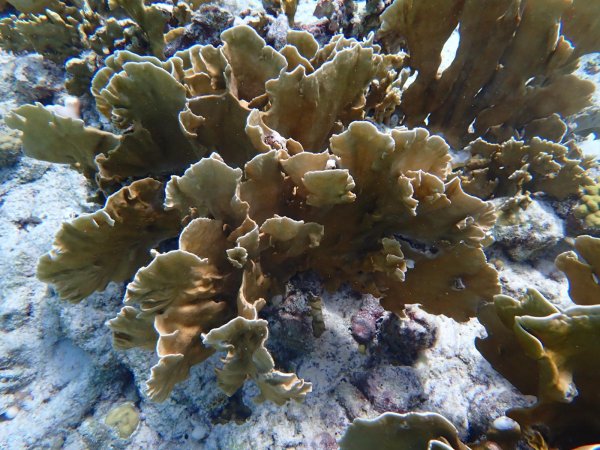 Bonaire 2021 — Foto 28 von 29