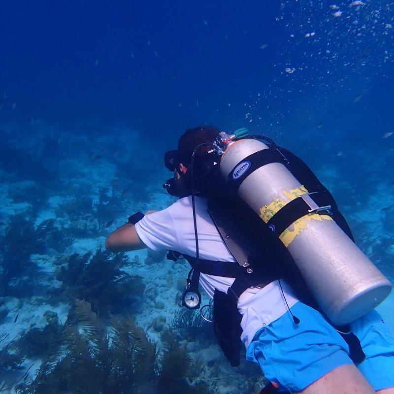 Img 20240430 wa0017 scaled.jpg