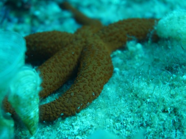 Bonaire 2021 — Foto 26 von 29