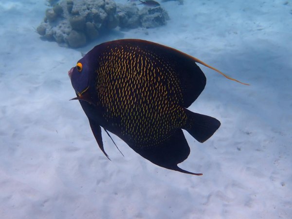 Bonaire 2021 — Foto 23 von 29