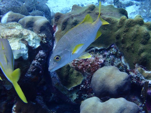 Bonaire 2021 — Foto 10 von 29