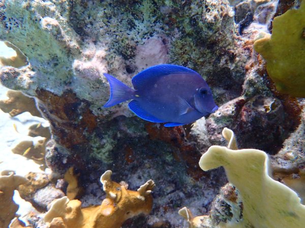 Bonaire 2021 — Foto 12 von 29