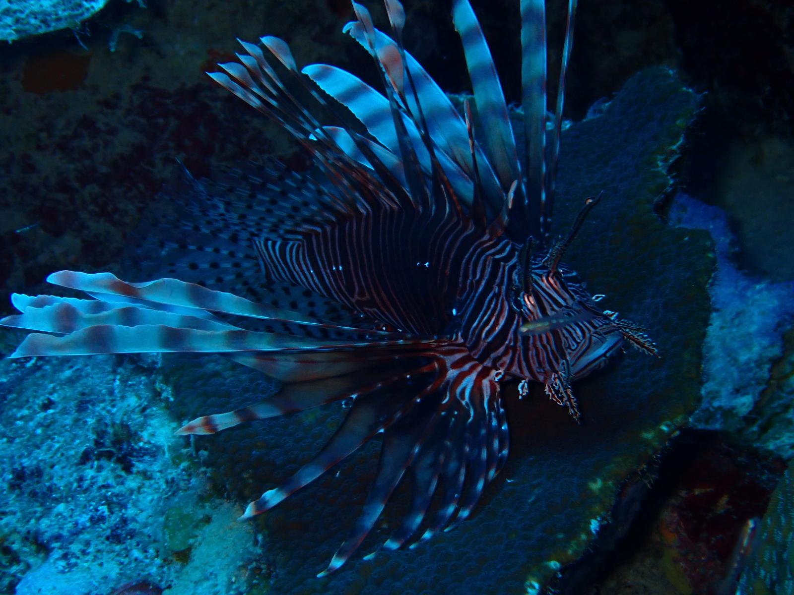 WhatsApp Bild 2024-05-01 um 11.09.50_0ecb7822